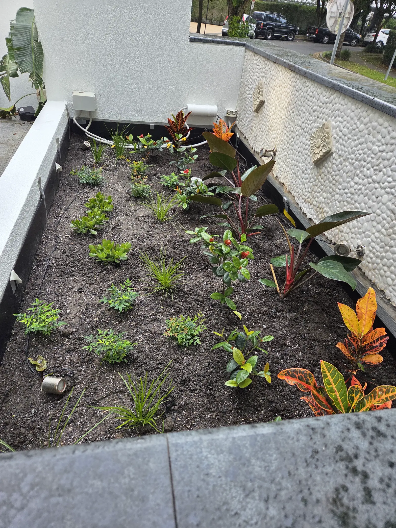Completed planter box with plants